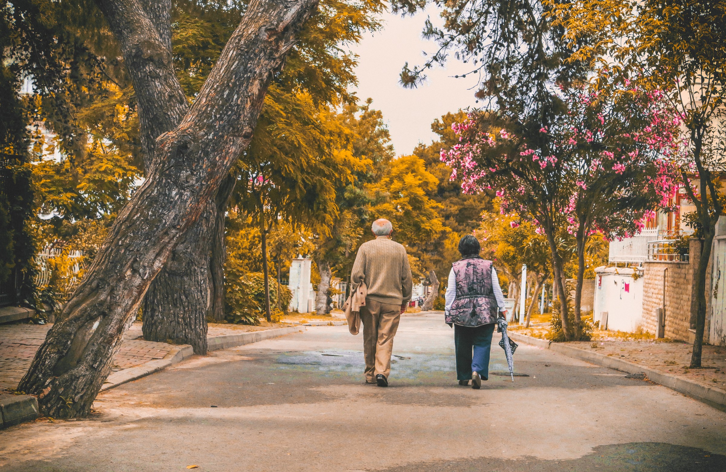 Older couple walking during fall