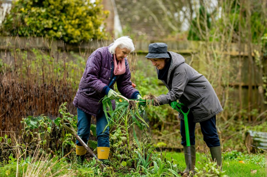 Is your community Aging-friendly? 